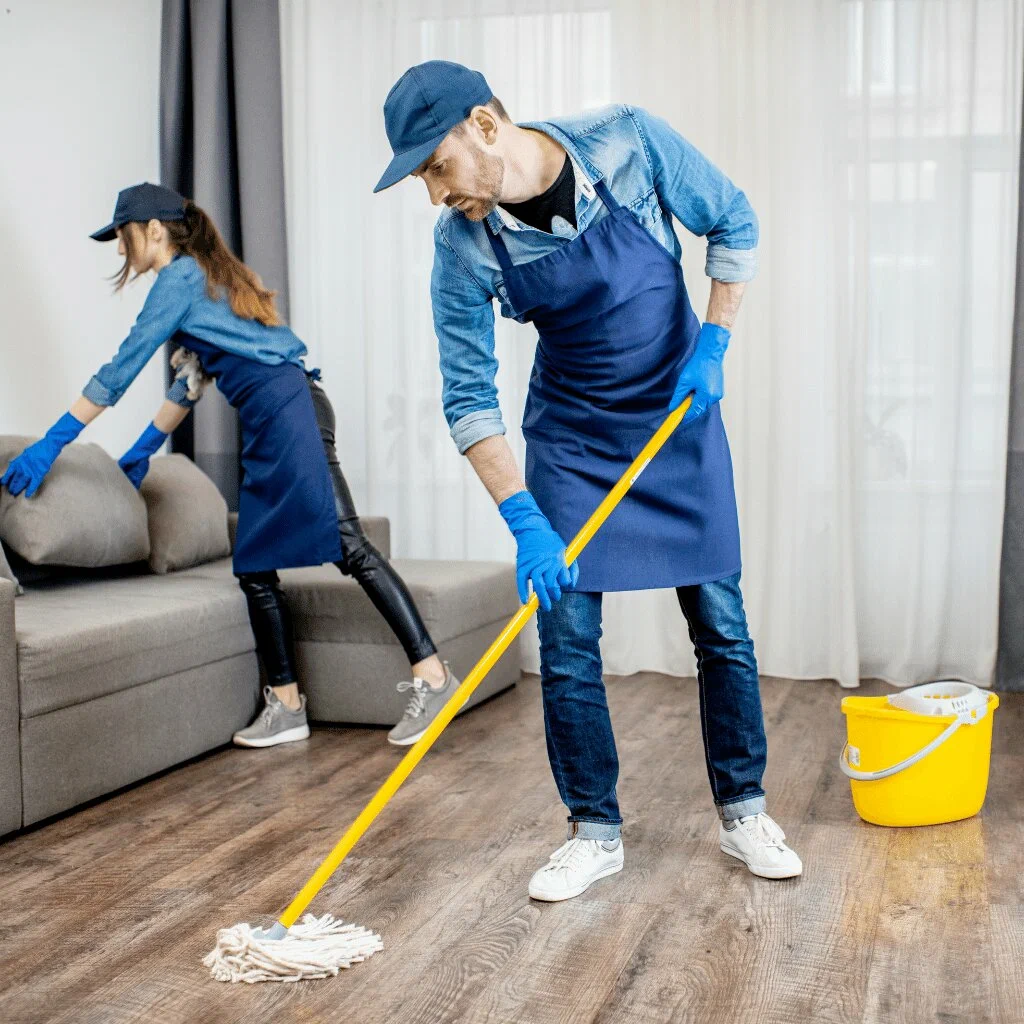 Professional Cleaning
